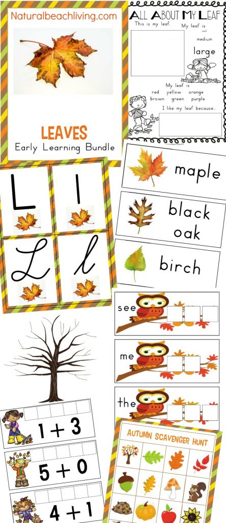 The Best Kindergarten and Preschool Leaf Theme Lesson Plan, Preschool Themes, Leaf Activities Preschool, Reggio, Preschool Curriculum, Alphabet, Leaves preschool