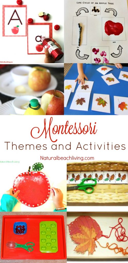 Over 20 awesome September Montessori Themes and Activities, Fall Montessori Activities, Montessori Apple Activities, Montessori Preschool Ideas, Fall Preschool Activities, September Themes and activities