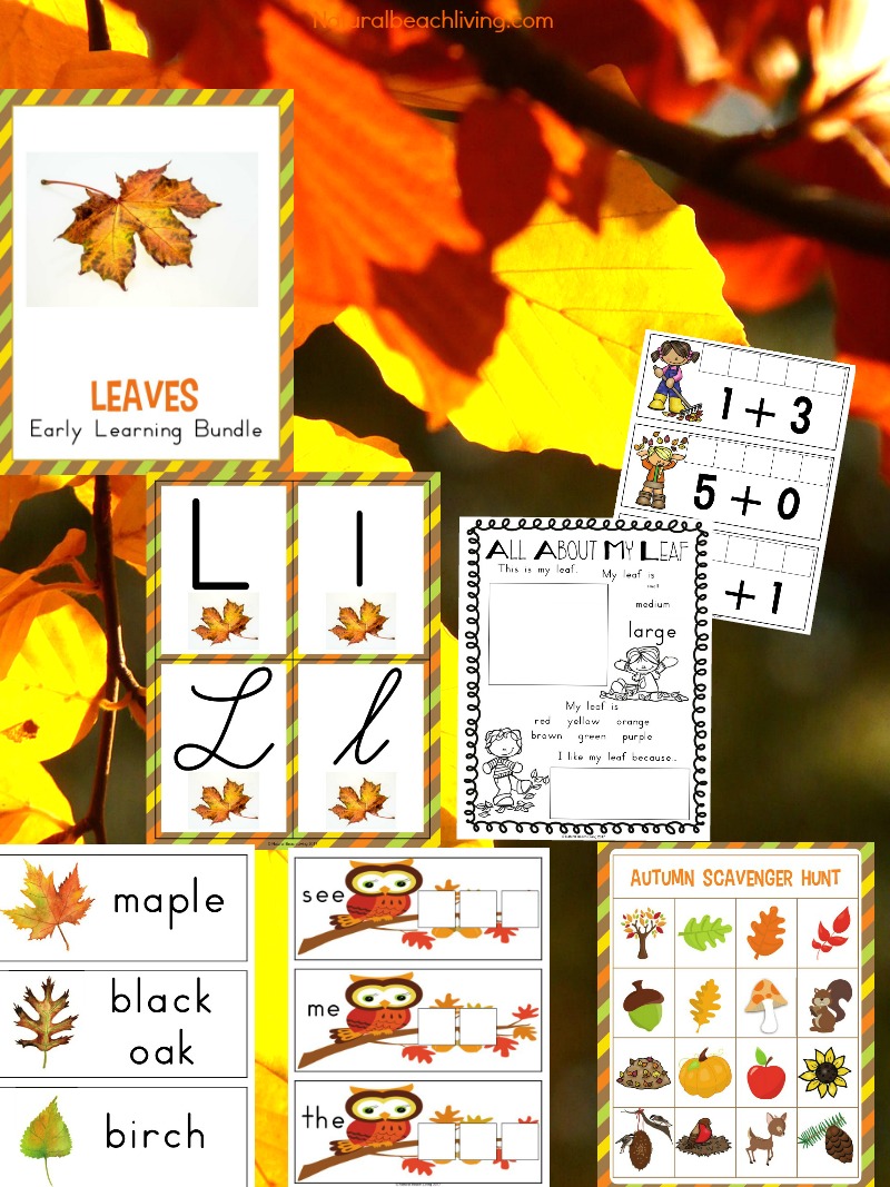 Kindergarten and Preschool Leaf Theme Lesson Plan