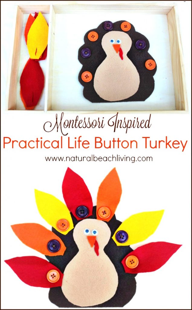 The Cutest Montessori Practical Life Button Turkey, Busy Bag, Easy DIY Thanksgiving Activity, Thanksgiving Preschool Activity, Great Fall Busy Bag Ideas, Fun Turkey Fine Motor Activity #Thanksgiving #Turkeycraft #Preschoolactivity #Montessori