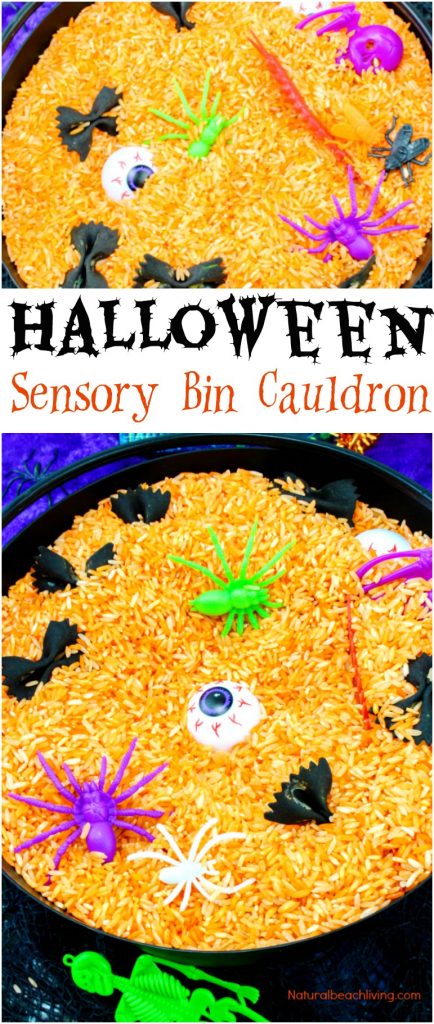Easy Halloween Sensory Bin, Halloween Sensory Bin Preschool Ideas, Halloween Sensory Play, Witch and Bat ideas for Halloween #Halloween #sensoryplay #sensorybin