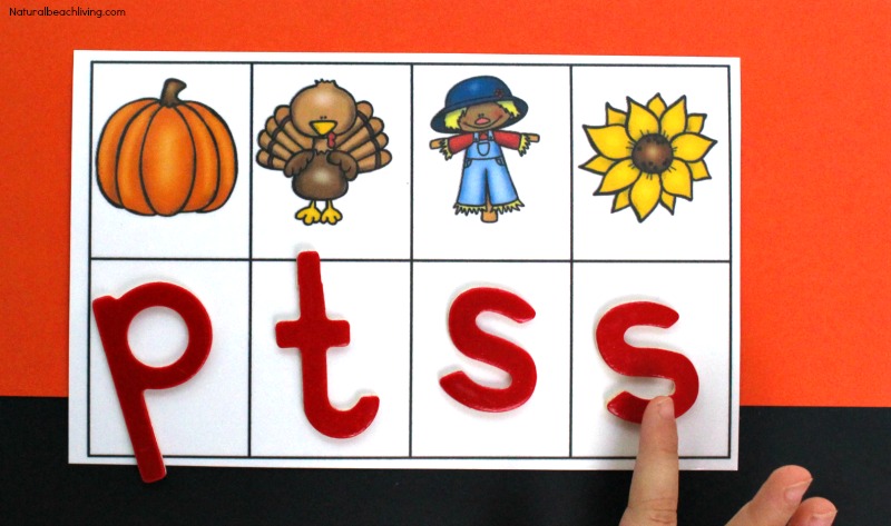 The Best Kindergarten and Preschool Pumpkin Theme Lesson Plan, Preschool Themes, Fall Preschool Themes, Fall Preschool Curriculum, Preschool STEM, Sensory play, Reggio, Montessori and more. 
