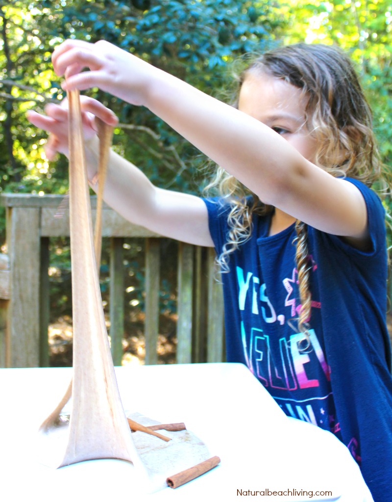 How to Make Cinnamon Jiggly Slime Recipe, Homemade Slime Recipe, DIY Slime, Cinnamon Slime Recipe, Cinnamon Sensory Play, Fall sensory play, Easy Slime Recipe, Borax Slime #slime #slimerecipe #sensory