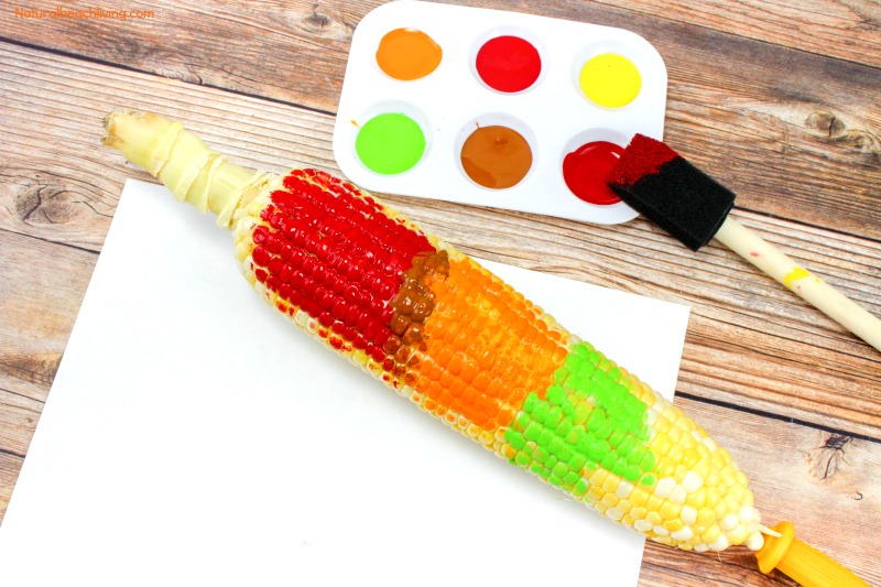 Fun Corn Cob Craft Painting for Kids, Thanksgiving Crafts, Thanksgiving Arts Crafts, Corn Cob Painting, Easy Fall Crafts for preschoolers, Easy Thanksgiving Crafts Kids Love #Thanksgiving #Crafts #Fallcrafts