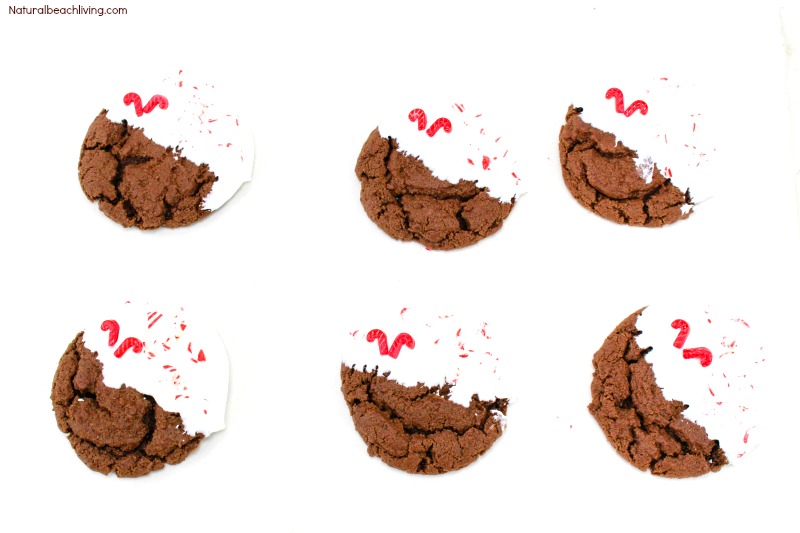 Easy Peppermint Cookies Recipe, These Soft and Chewy Chocolate Cookies are perfect Christmas Cookies, Chocolate Peppermint Christmas Cookies, Chocolate Cookies Recipes, Simple Homemade Cookies #christmas #christmascookies #cookierecipe Easy Peppermint Cookies Recipe, Chewy Chocolate Cookies, Chocolate Peppermint Christmas Cookies, Chocolate Peppermint Cookies Recipes, Delicious Homemade cookies, Christmas Cookies, #Christmas #Christmascookies #Cookierecipe