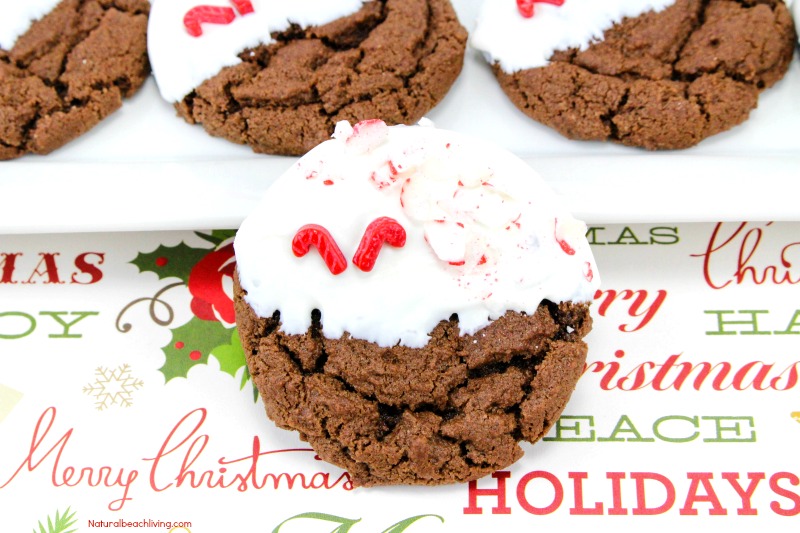 Easy Peppermint Cookies Recipe, These Soft and Chewy Chocolate Cookies are perfect Christmas Cookies, Chocolate Peppermint Christmas Cookies, Chocolate Cookies Recipes, Simple Homemade Cookies #christmas #christmascookies #cookierecipe Easy Peppermint Cookies Recipe, These Soft and Chewy Chocolate Cookies are perfect Christmas Cookies, Chocolate Peppermint Christmas Cookies, Chocolate Cookies Recipes, Simple Homemade Cookies
