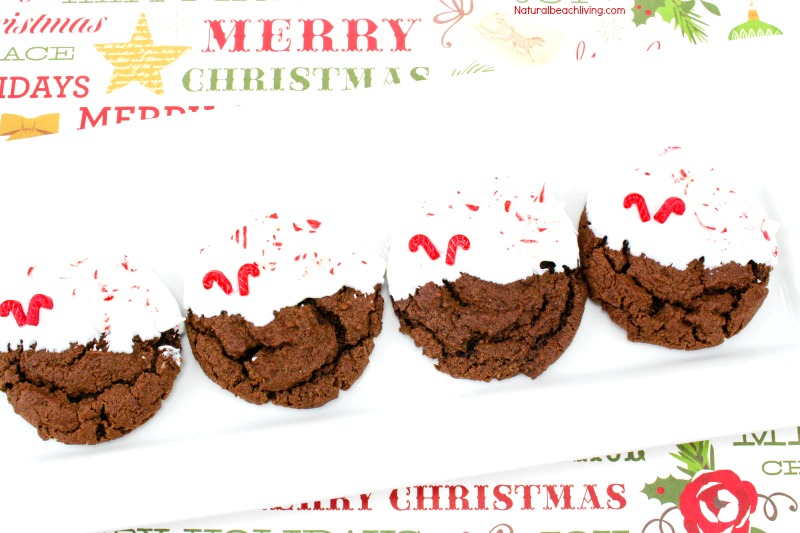 Easy Peppermint Cookies Recipe, Chewy Chocolate Cookies, Chocolate Peppermint Christmas Cookies, Chocolate Peppermint Cookies Recipes, Delicious Homemade cookies, Christmas Cookies, #Christmas #Christmascookies #Cookierecipe 