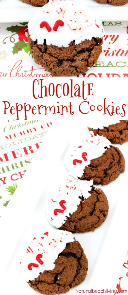 Easy Peppermint Cookies Recipe, These Soft and Chewy Chocolate Cookies are perfect Christmas Cookies, Chocolate Peppermint Christmas Cookies, Chocolate Cookies Recipes, Simple Homemade Cookies #christmas #christmascookies #cookierecipe Easy Peppermint Cookies Recipe, These Soft and Chewy Chocolate Cookies are perfect Christmas Cookies, Chocolate Peppermint Christmas Cookies, Chocolate Cookies Recipes, Simple Homemade Cookies