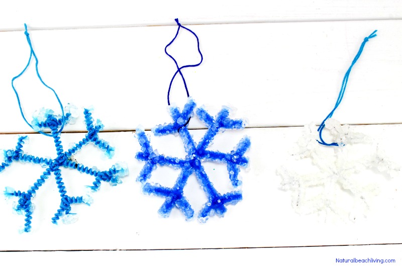 Make The Best Crystal Snowflake Ornaments, Borax Snowflake Crystals, Winter Science Experiments for Kids, Snowflake Theme, How to Make Snowflakes, Borax Crystal Snowflakes, Snowflake Crystals, #Science #Boraxcrystals #crystalsnowflakes #winterscience