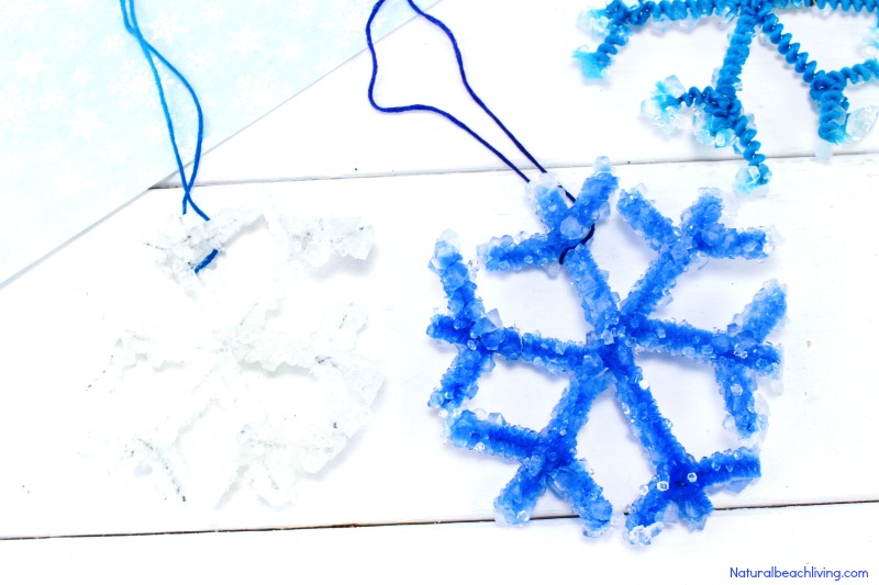 Make The Best Crystal Snowflake Ornaments, Borax Snowflake Crystals, Winter Science Experiments for Kids, Snowflake Theme, How to Make Snowflakes, Borax Crystal Snowflakes, Snowflake Crystals, #Science #Boraxcrystals #crystalsnowflakes #winterscience