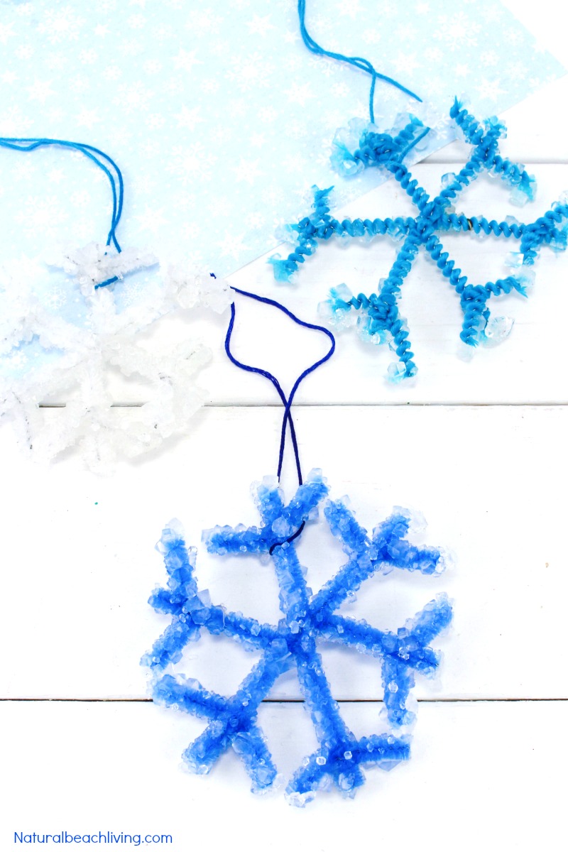 DIY Crystal Snowflake Ornaments – Winter Science for Kids