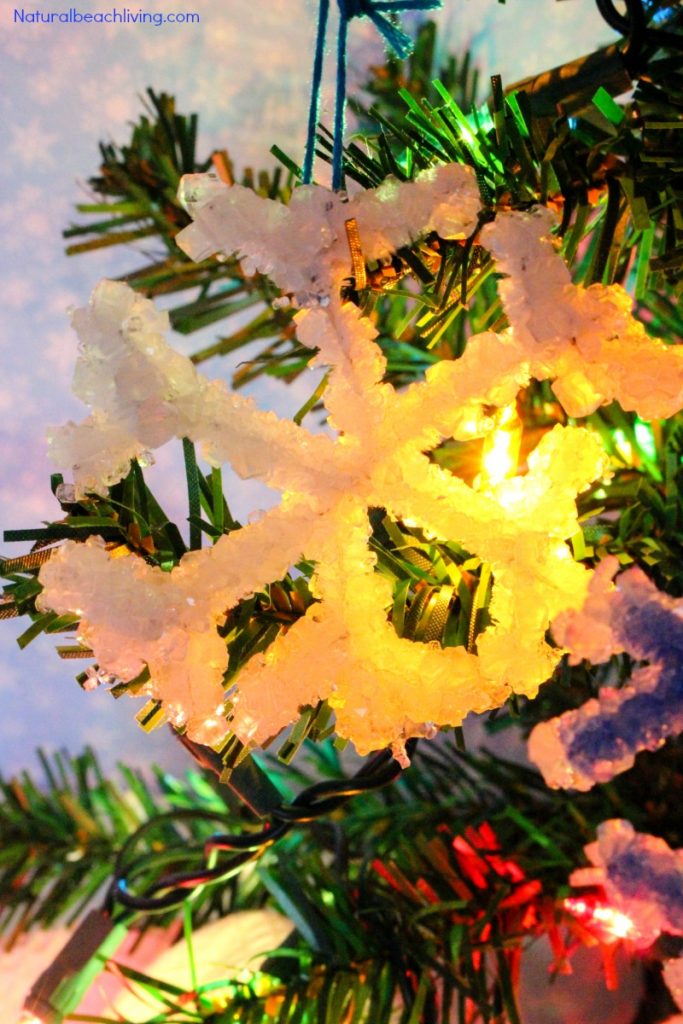 Make The Best Crystal Snowflake Ornaments, Borax Snowflake Crystals, Winter Science Experiments for Kids, Snowflake Theme, How to Make Snowflakes, Borax Crystal Snowflakes, Snowflake Crystals, #Science #Boraxcrystals #crystalsnowflakes #winterscience