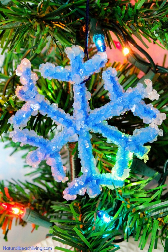 Make The Best Crystal Snowflake Ornaments, Borax Snowflake Crystals, Winter Science Experiments for Kids, Snowflake Theme, How to Make Snowflakes, Borax Crystal Snowflakes, Snowflake Crystals, #Science #Boraxcrystals #crystalsnowflakes #winterscience