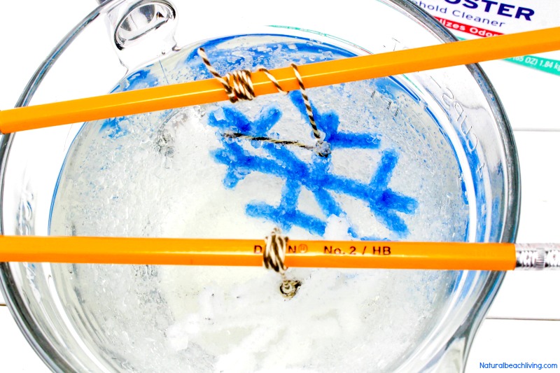 Make The Best Crystal Snowflake Ornaments, Borax Snowflake Crystals, Winter Science Experiments for Kids, Snowflake Theme, How to Make Snowflakes, Borax Crystal Snowflakes, Snowflake Crystals, #Science #Boraxcrystals #crystalsnowflakes #winterscience