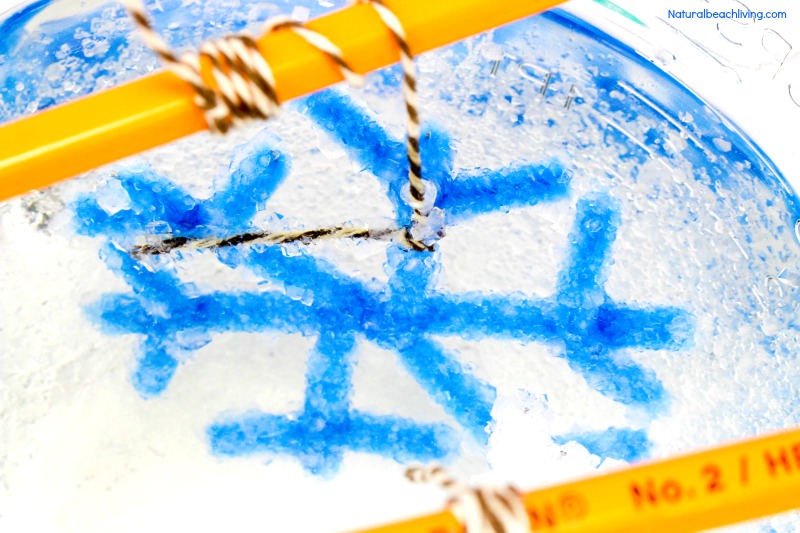 Make The Best Crystal Snowflake Ornaments, Borax Snowflake Crystals, Winter Science Experiments for Kids, Snowflake Theme, How to Make Snowflakes, Borax Crystal Snowflakes, Snowflake Crystals, #Science #Boraxcrystals #crystalsnowflakes #winterscience