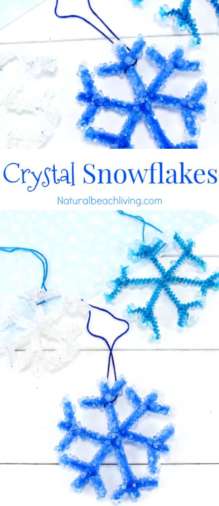 Make The Best Crystal Snowflake Ornaments, Borax Snowflake Crystals that kids can make for a Christmas Ornament or fun Science Project. Winter Science Experiments for Kids, Snowflake Theme, How to Make Snowflakes, Borax Crystal Snowflakes