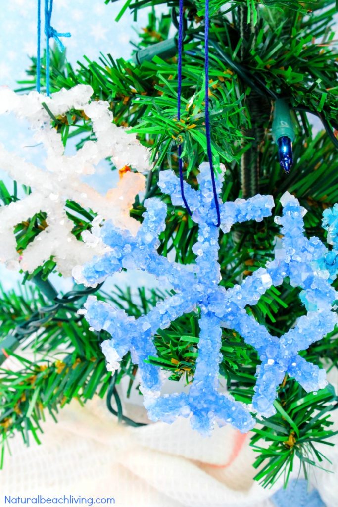 Make The Best Crystal Snowflake Ornaments, Borax Snowflake Crystals, Winter Science Experiments for Kids, Snowflake Theme, How to Make Snowflakes, Borax Crystal Snowflakes, Snowflake Crystals, #Science #Boraxcrystals #crystalsnowflakes #winterscience