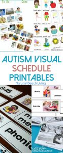 10+ Free Autism Visual Schedule Printables To Try Right Now - Natural ...
