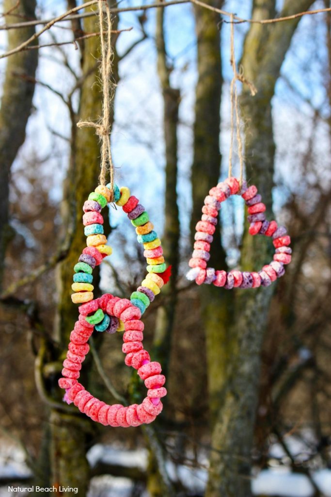Easy Kid Made Bird Feeder Ornaments Everyone Loves, Easy Heart Bird Feeder craft preschoolers can make, Heart bird feeder ornaments, Perfect Valentine's Day activity for kids, Easy Homemade Bird Feeder Ornaments, This is a great winter activity for kids, Birdseed ornaments, DIY Bird Feeder for kids to make, Nature activities for kids, How to Make Bird Treats, How to Make Bird Feeder Ornaments with Kids, Birdseed Ornaments Recipe #birdseedornaments #Birdtreats #homemadebirdfeeders #birds #bird #Valentinecraft 