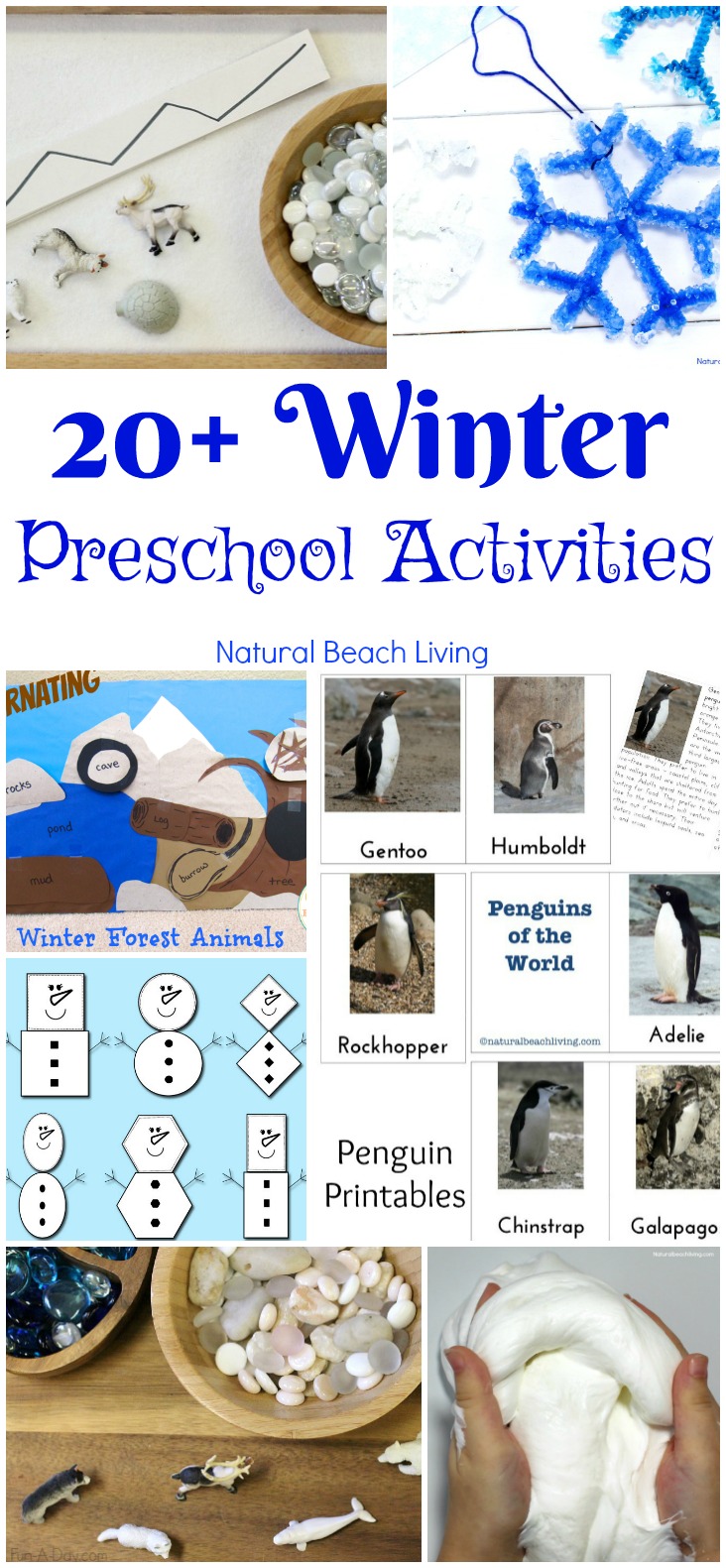 30+ January Preschool Themes and Activities Kids Love