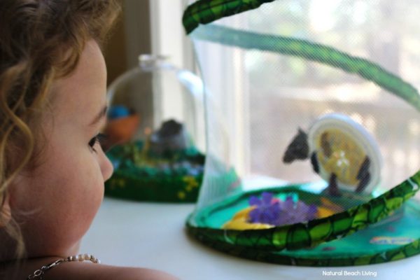 Butterfly Life Cycle Activities for Kids Free Printables - Natural ...