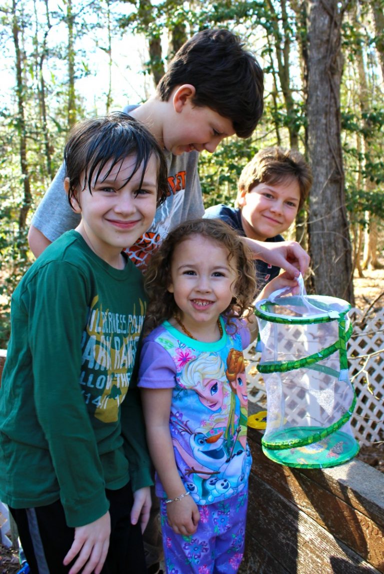 Butterfly Life Cycle Activities for Kids Free Printables - Natural ...