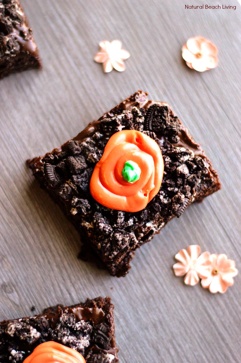 Carrot Garden Brownies – Best Carrot Patch Brownies Recipe