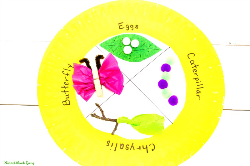 Easy Butterfly Life Cycle Craft, Spring Paper Plate Craft, life cycle of a butterfly activities, butterfly life cycle craft for kindergarten, life cycle of a butterfly project ideas, butterfly life cycle science project, butterfly life cycle preschool lesson plan, Butterfly life cycle project, Butterfly Crafts, Spring Preschool Theme, Science Activity, Preschool Science, Kindergarten Science #Science #crafts #springcrafts #butterflyactivities #butterflycrafts Easy Butterfly Life Cycle Paper Plate Craft, life cycle of a butterfly activities, butterfly life cycle craft for kindergarten, life cycle of a butterfly project ideas, butterfly life cycle science project, butterfly life cycle preschool lesson plan, Butterfly life cycle project, Butterfly Crafts, Spring Preschool Theme, Science Activity, Preschool Science, Kindergarten Science