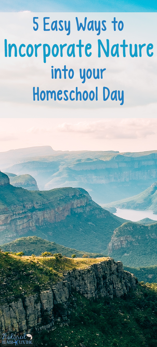 Easy Ways to Incorporate Nature Into Your Homeschool Day