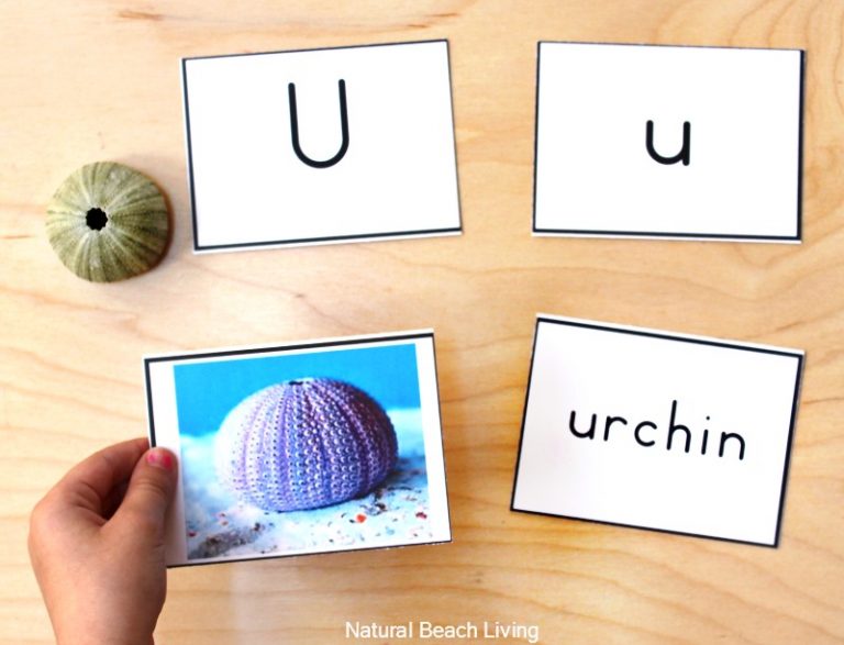 Alphabet Printable Picture Cards - Visual Word Cards - Natural Beach Living