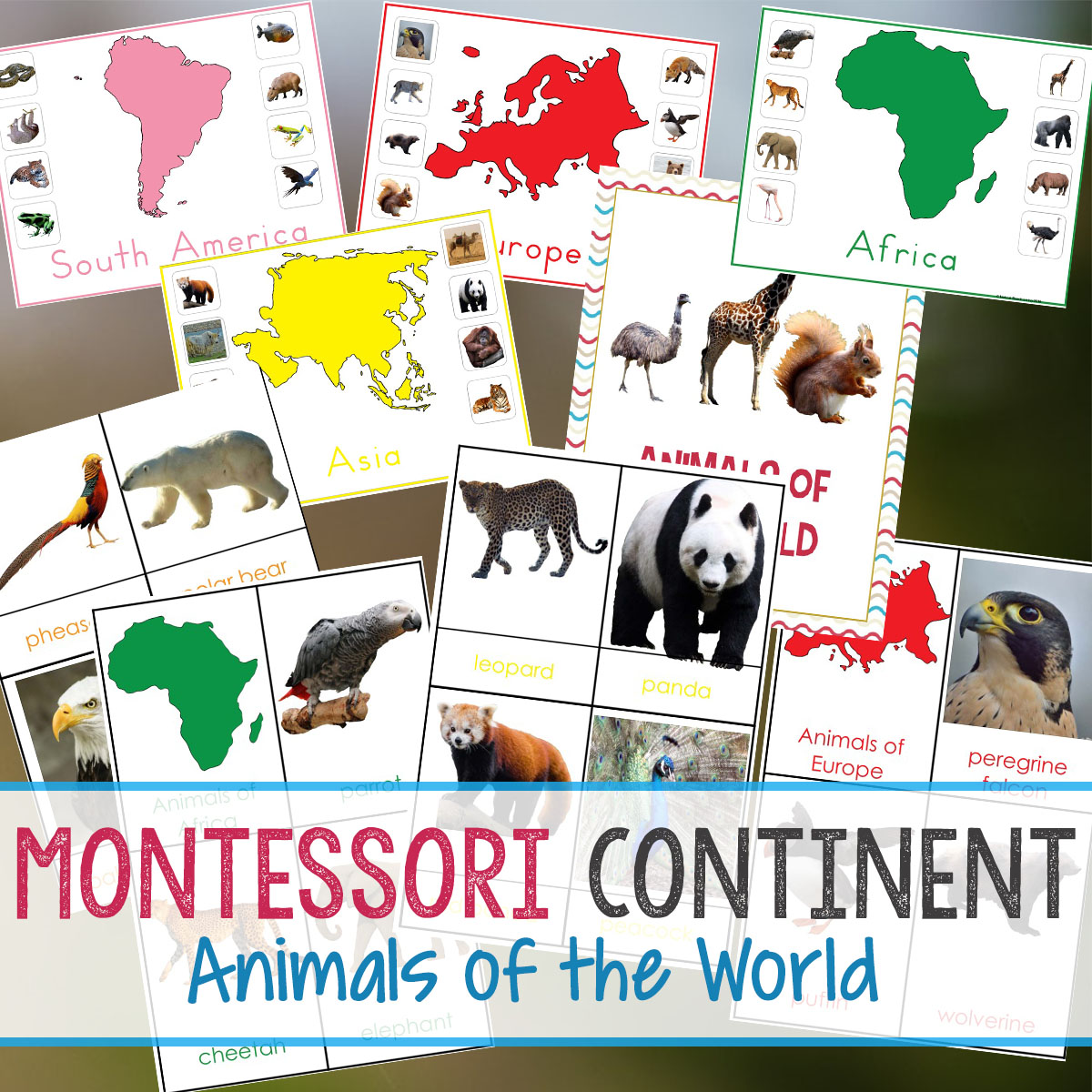 Montessori Animals and Continents Printables and Activities