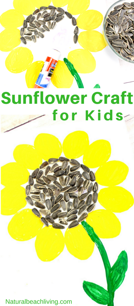 Easy Sunflower Art for Kids, Sunflower Crafts for Kids, Spring is here and this super cute sunflower art would be fun for your children to make! You need a few items and your kids will be creating a sunflower craft perfect to display, Sunflower activities for Kids, This easy art and craft idea is perfect for any age. Sunflower craft ideas #sunflowers #flowercrafts #floweractivities #sunflowercrafts #sunflowerart #artforkids #craftsforkids #flowerart #preschoolcrafts #summercrafts #preschoolart #springactivities Easy Sunflower Art for Kids, Sunflower Crafts for Kids, Spring is here and this super cute sunflower art would be fun for your children to make! You just need a few items and your kids will be creating a sunflower craft perfect to display, Sunflower activities for Kids, This easy art and craft idea is perfect for any age.