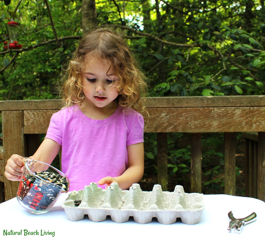 This Easy Kid Made Bird Feeder from Recycled Material is a great DIY bird feeder. Making homemade bird feeders for your backyard is a great way for you and your children to get to learn about backyard birds. How To Make a Bird Feeder Out of Recycled Materials, Bird Feeder Craft, Homemade Bird Feeder, Kid Made Bird Feeder, DIY Bird Feeder, Easy Bird Feeder for Kids to make, a fun spring craft idea, Backyard Birds Activities and Bird Theme for Kids, Nature Activities for the whole year, Montessori Practical Life Ideas, Bird Seed Treats #Birds #birdfeeders #homemadebirdfeeders #birdseedfeeders #diybirdfeeder #birdactivities #backyardbirds #kidsactivities #naturecrafts #natureactivities #montessori #practicallife #montessoriactivities #naturallearning #naturalliving This Easy Kid Made Bird Feeder from Recycled Material is a great DIY bird feeder. Making homemade bird feeders for your backyard is a great way for you and your children to get to learn about backyard birds. How To Make a Bird Feeder Out of Recycled Materials, Bird Feeder Craft, Homemade Bird Feeder, Kid Made Bird Feeder, DIY Bird Feeder, Easy Bird Feeder for Kids to make, a fun spring craft idea, Backyard Birds Activities and Bird Theme for Kids, Nature Activities for the whole year, Montessori Practical Life Ideas, Bird Seed Treats