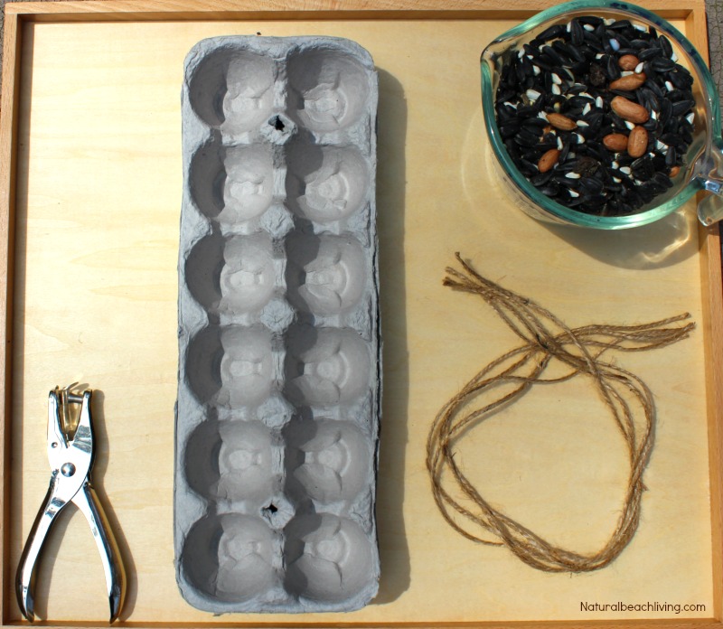 This Easy Kid Made Bird Feeder from Recycled Material is a great DIY bird feeder. Making homemade bird feeders for your backyard is a great way for you and your children to get to learn about backyard birds. How To Make a Bird Feeder Out of Recycled Materials, Bird Feeder Craft, Homemade Bird Feeder, Kid Made Bird Feeder, DIY Bird Feeder, Easy Bird Feeder for Kids to make, a fun spring craft idea, Backyard Birds Activities and Bird Theme for Kids, Nature Activities for the whole year, Montessori Practical Life Ideas, Bird Seed Treats #Birds #birdfeeders #homemadebirdfeeders #birdseedfeeders #diybirdfeeder #birdactivities #backyardbirds #kidsactivities #naturecrafts #natureactivities #montessori #practicallife #montessoriactivities #naturallearning #naturalliving This Easy Kid Made Bird Feeder from Recycled Material is a great DIY bird feeder. Making homemade bird feeders for your backyard is a great way for you and your children to get to learn about backyard birds. How To Make a Bird Feeder Out of Recycled Materials, Bird Feeder Craft, Homemade Bird Feeder, Kid Made Bird Feeder, DIY Bird Feeder, Easy Bird Feeder for Kids to make, a fun spring craft idea, Backyard Birds Activities and Bird Theme for Kids, Nature Activities for the whole year, Montessori Practical Life Ideas, Bird Seed Treats