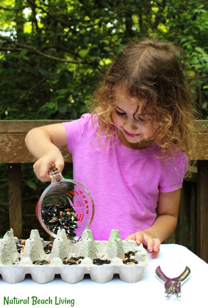 This Easy Kid Made Bird Feeder from Recycled Material is a great DIY bird feeder. Making homemade bird feeders for your backyard is a great way for you and your children to get to learn about backyard birds. How To Make a Bird Feeder Out of Recycled Materials, Bird Feeder Craft, Homemade Bird Feeder, Kid Made Bird Feeder, DIY Bird Feeder, Easy Bird Feeder for Kids to make, a fun spring craft idea, Backyard Birds Activities and Bird Theme for Kids, Nature Activities for the whole year, Montessori Practical Life Ideas, Bird Seed Treats #Birds #birdfeeders #homemadebirdfeeders #birdseedfeeders #diybirdfeeder #birdactivities #backyardbirds #kidsactivities #naturecrafts #natureactivities #montessori #practicallife #montessoriactivities #naturallearning #naturalliving This Easy Kid Made Bird Feeder from Recycled Material is a great DIY bird feeder. Making homemade bird feeders for your backyard is a great way for you and your children to get to learn about backyard birds. How To Make a Bird Feeder Out of Recycled Materials, Bird Feeder Craft, Homemade Bird Feeder, Kid Made Bird Feeder, DIY Bird Feeder, Easy Bird Feeder for Kids to make, a fun spring craft idea, Backyard Birds Activities and Bird Theme for Kids, Nature Activities for the whole year, Montessori Practical Life Ideas, Bird Seed Treats