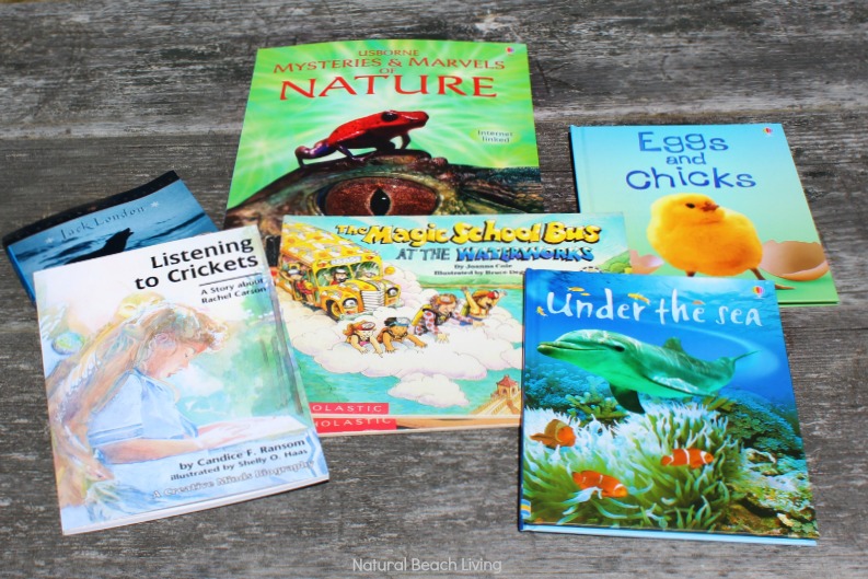 5 Easy Ways to Incorporate Nature into your Homeschool Day, Nature Studies, Nature Study Homeschool Ideas for Kids of all ages, Science Books and Activities to use for Natural Learning and Nature Studies, Nature Table for Kids, Sonlight Homeschool, Sonlight Homeschool Curriculum, Nature Theme and Outdoor Activities #nature #naturestudies #naturestudy #naturallearning #natureactivities #homeschool 5 Easy Ways to Incorporate Nature into your Homeschool Day, Nature Studies, Nature Study Homeschool Ideas for Kids of all ages, Science Books and Activities to use for Natural Learning and Nature Studies, Nature Table for Kids, Sonlight Homeschool, Sonlight Homeschool Curriculum, Nature Theme and Outdoor Activities