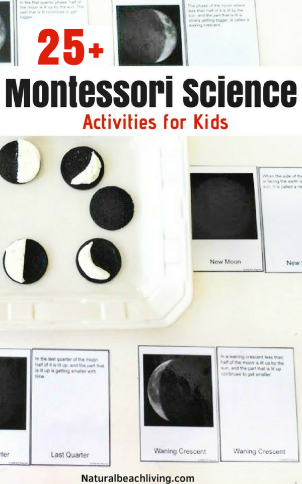 25+ Montessori Science Activities and Experiments for Kids - Natural ...