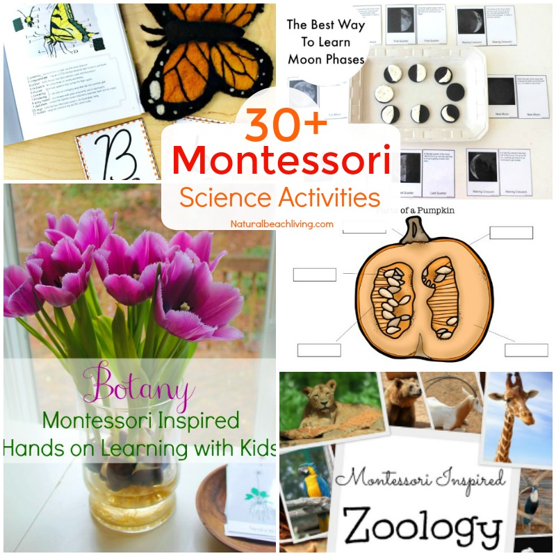 25+ Fun Montessori science activities for seasons, themes, and a variety of hands on activities. Preschool Science experiments, Kindergarten Science Activities, Everything you need to start Montessori science in your home or classroom, Montessori science curriculum for 3-6 year olds, Montessori science experiments for 6-9 year olds , Life Cycles Activities for Kids, Animal Activities for Kids, Montessori toddler activities