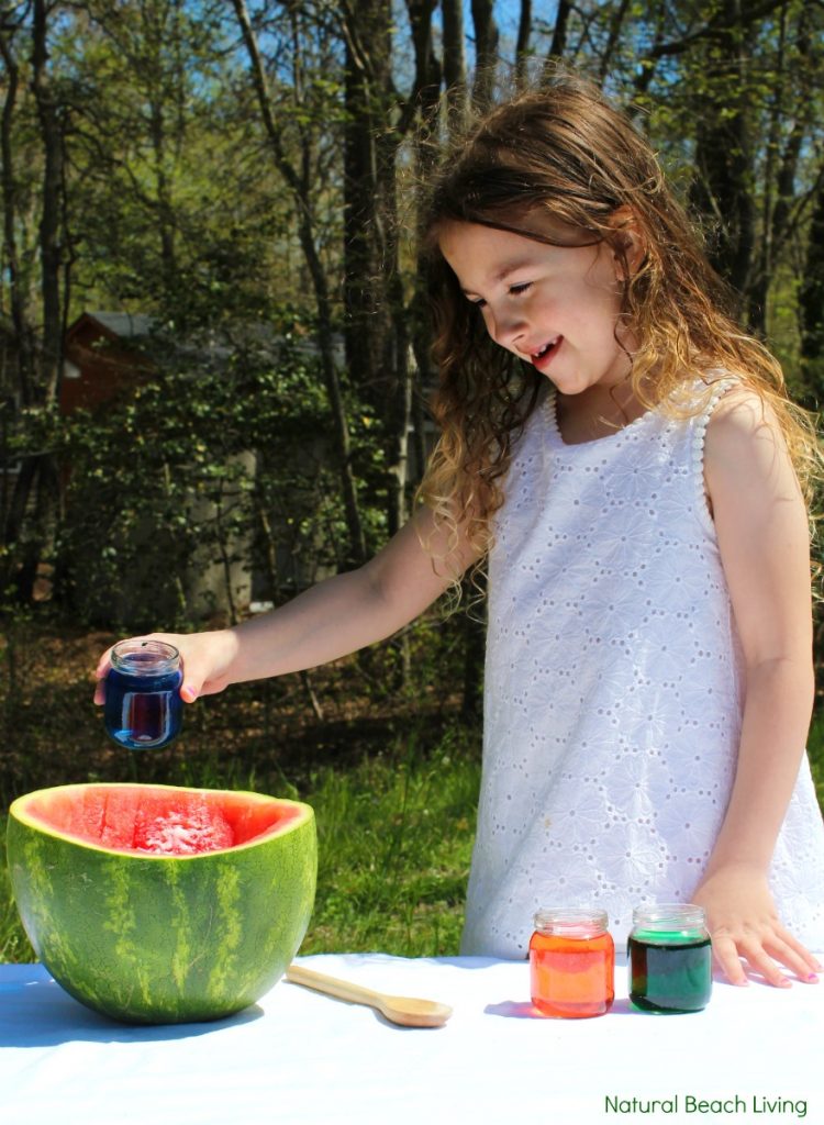 Watermelon Science Activities Baking Soda and Vinegar Erupting Science Experiment, This Hands-on Activity is a perfect Summer Science idea. Kids love this bubbly Volcano Science Activity it also has great Science Videos, Watermelon Activities for Toddlers, Preschoolers, Kindergarten Science, Easy and Fun Science activities for Kids, 