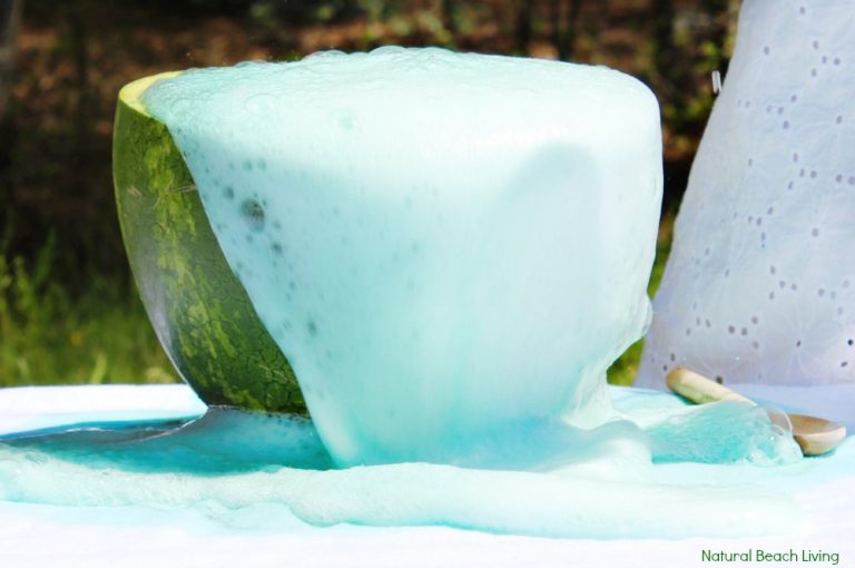Watermelon Science Picture Watermelon Science Activities - Baking Soda and Vinegar Science ...
