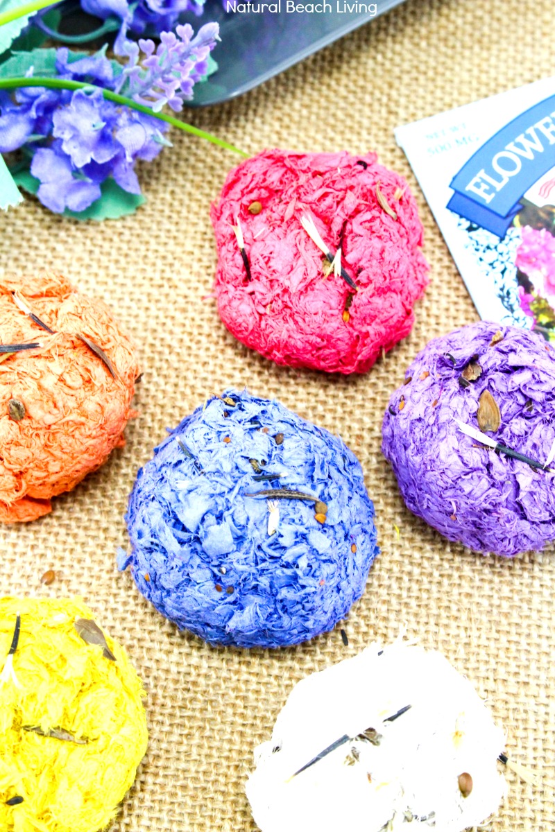 How to Make Seed Bombs for Kids – Easy DIY Seed Bombs Recipe
