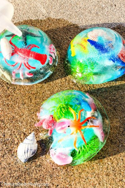 45+ Ocean Summer Camp Theme Activities - Natural Beach Living