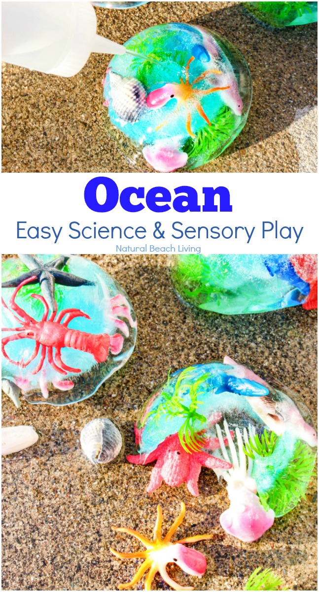 Help your kids unplug and get moving with more than 40 outdoor activities for kids. Many of these activities are cheap or free, so you don't have to break the bank to keep your kids entertained. Getting outdoors is also an excellent way to spend time together as a family. Spring Activities and Summer Activities Kids will love.