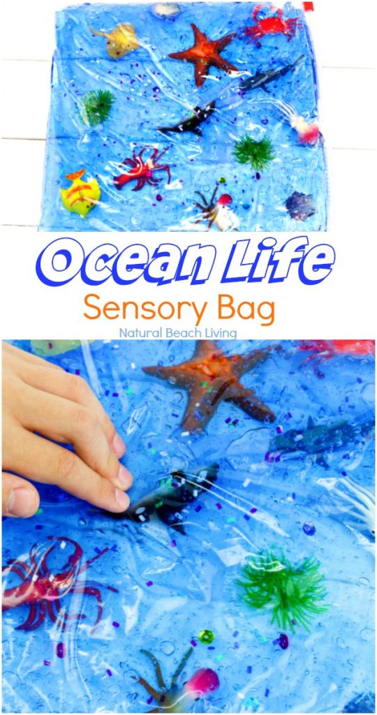 Easy Ocean Life Sensory Bag for toddlers and preschoolers, Your kids will love Mess-Free ocean themed sensory activities, Fun Hands On Activities for an Ocean Theme and this ocean sensory bag is perfect for Ocean Science Table Ideas and Under the Sea Activities