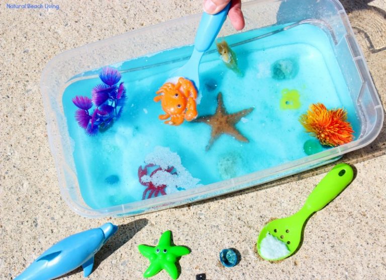 Beach Theme Summer Camp Activities for Kids - Natural Beach Living