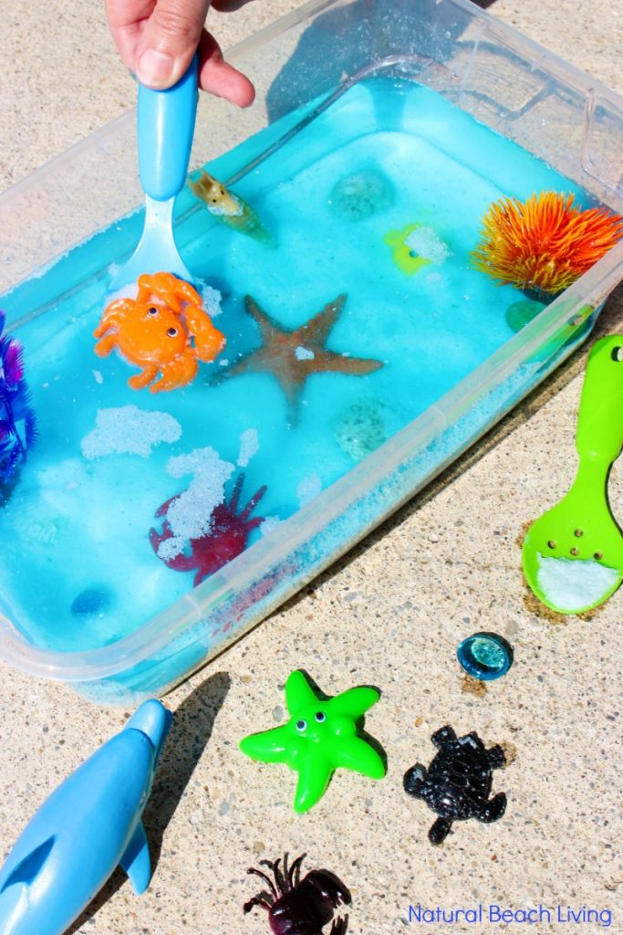 Ocean Sensory Bin Easy Ocean Activities for Toddlers and