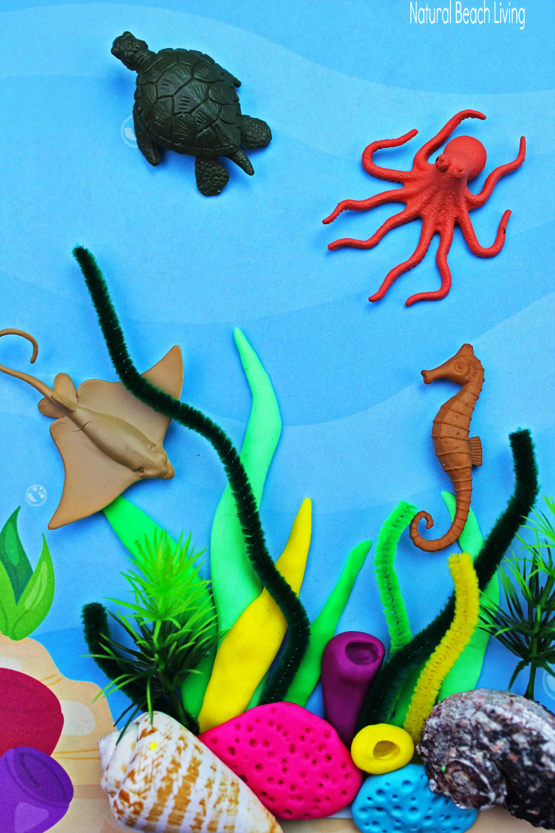Coral Reef Activities for Preschoolers and Kindergarten