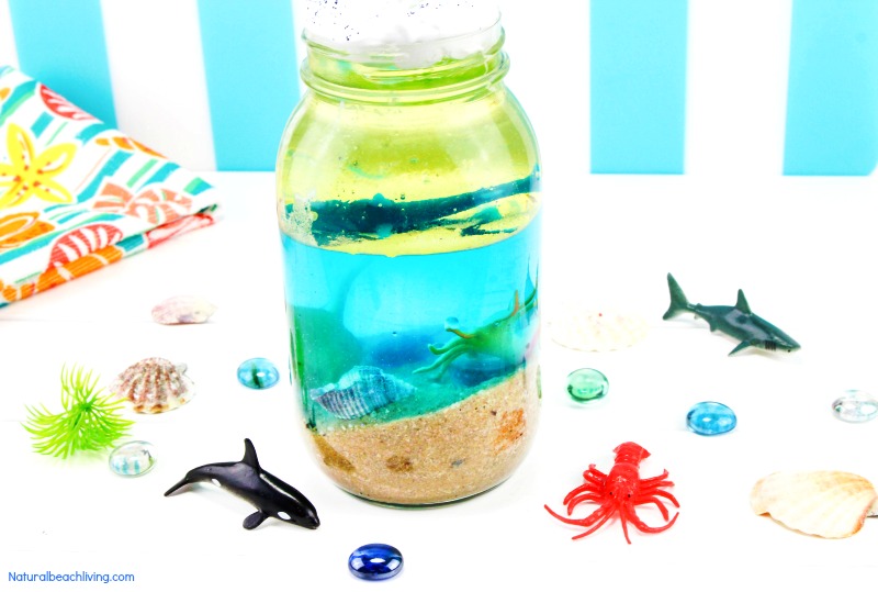 Ocean Science for Kids - Easy Ocean Life Experiment Kids Love - Natural  Beach Living
