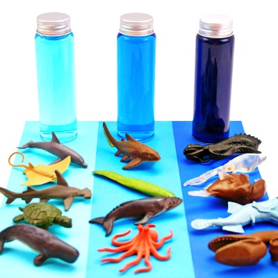 Ocean Science Activities are a perfect way to spend time learning during the summer or for a fun ocean theme.Here is fantastic Under the Sea Activities for Kids. Including sea shell sorting activities, ocean zones for kids, Science experiments for Kids and Ocean Activities for Kids, An AMAZING Ocean Unit Study 