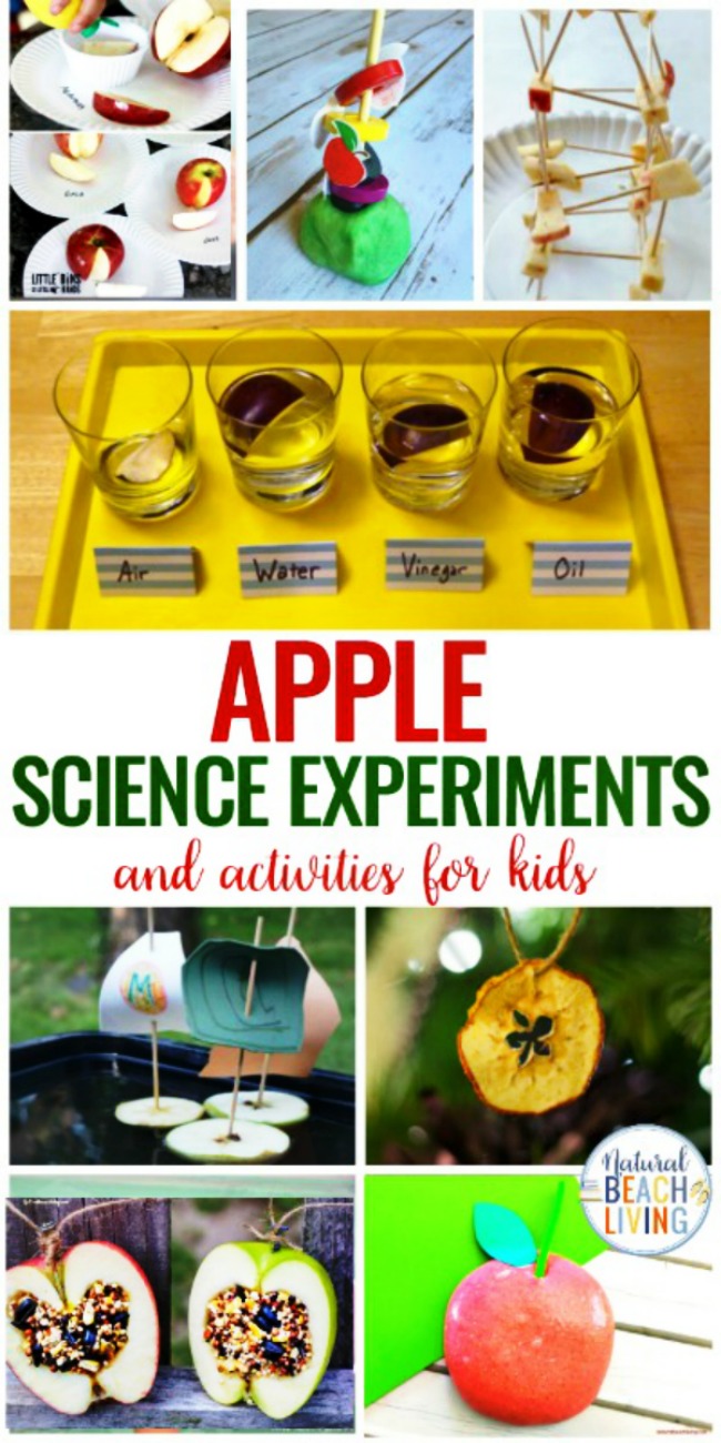 20+ Apple Science Experiments and Activities for Kids